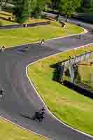 Evening Low_Mid Group Black Bikes